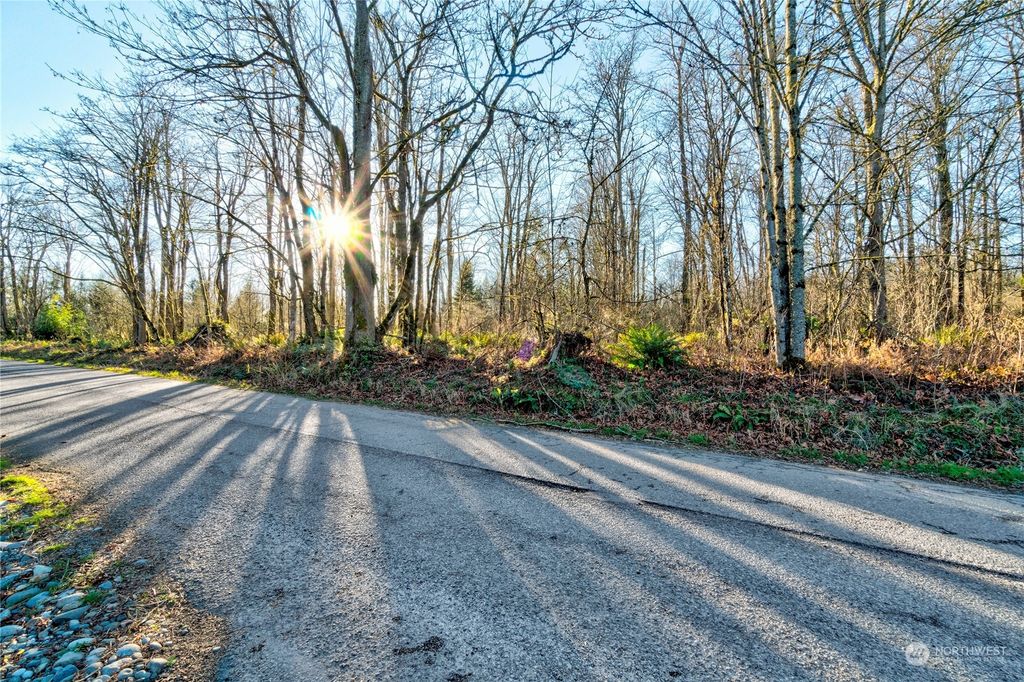 Photo of 44 XX 260th Avenue NE, Redmond, WA 98053 (MLS # 2241010)