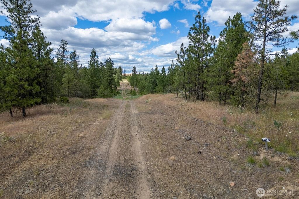 Photo of 35430 Prairie Lane N #Lot 3, Creston, WA 99117 (MLS # 2458298)