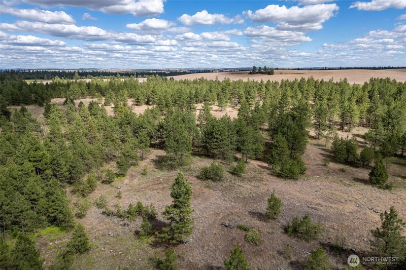 35430 Prairie Lane N Lot 3