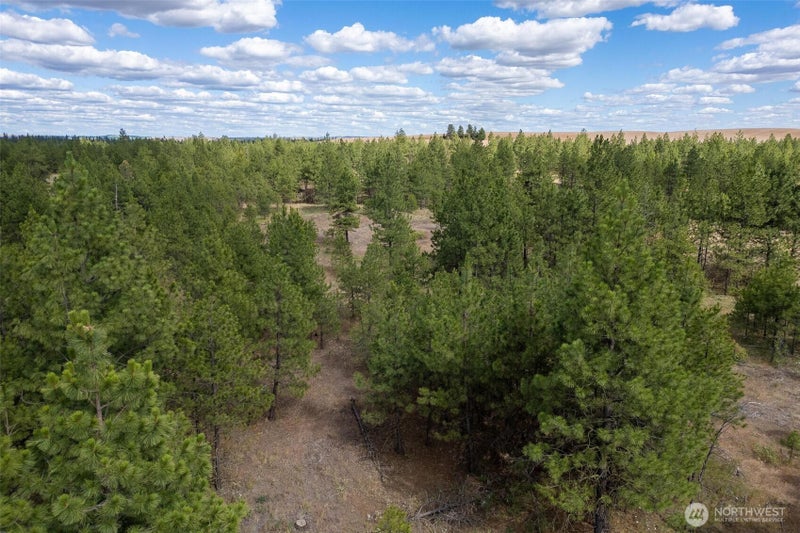 35430 Prairie Lane N Lot 3