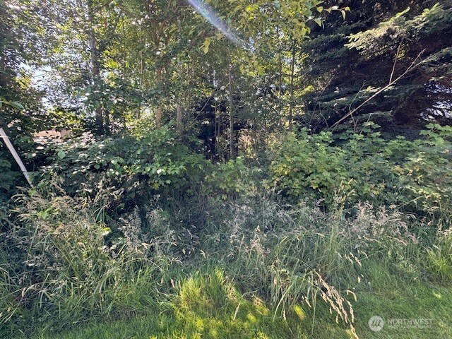 43 E Sycamore Road