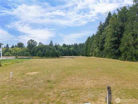 Photo of 8017 Ski View Lane SW, Olympia, WA 98512 (MLS # 2558240)