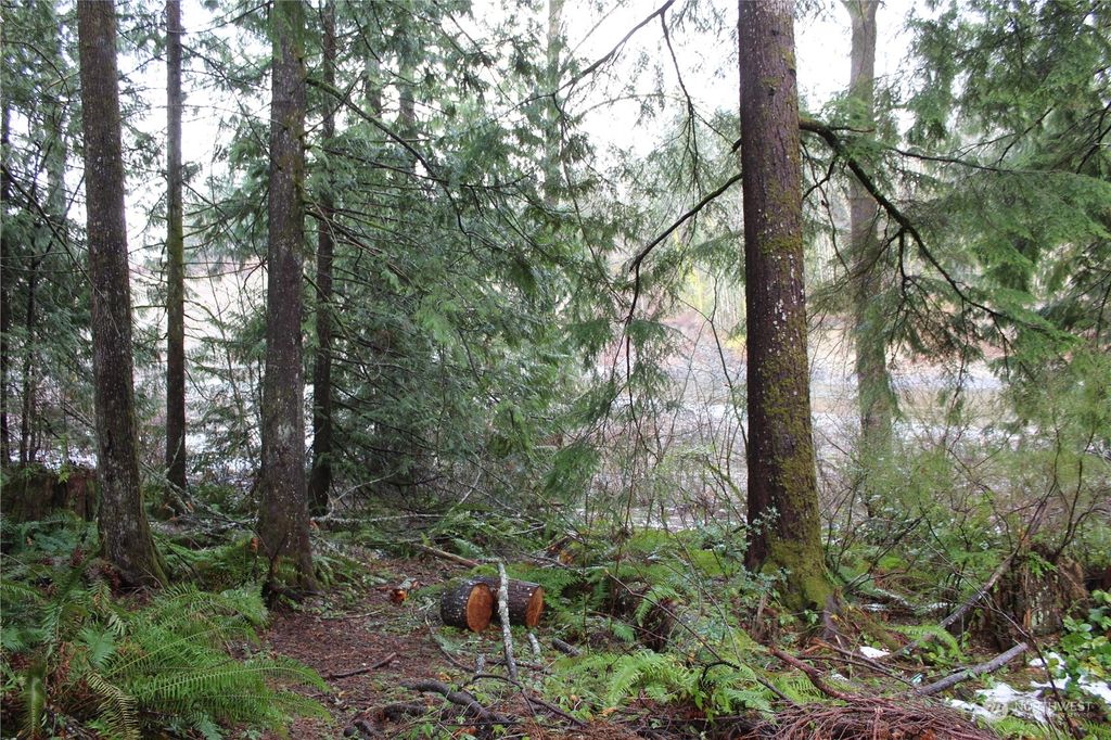 Photo of 17519 433rd Ave SE, Gold Bar, WA 98251 (MLS # 2022253)