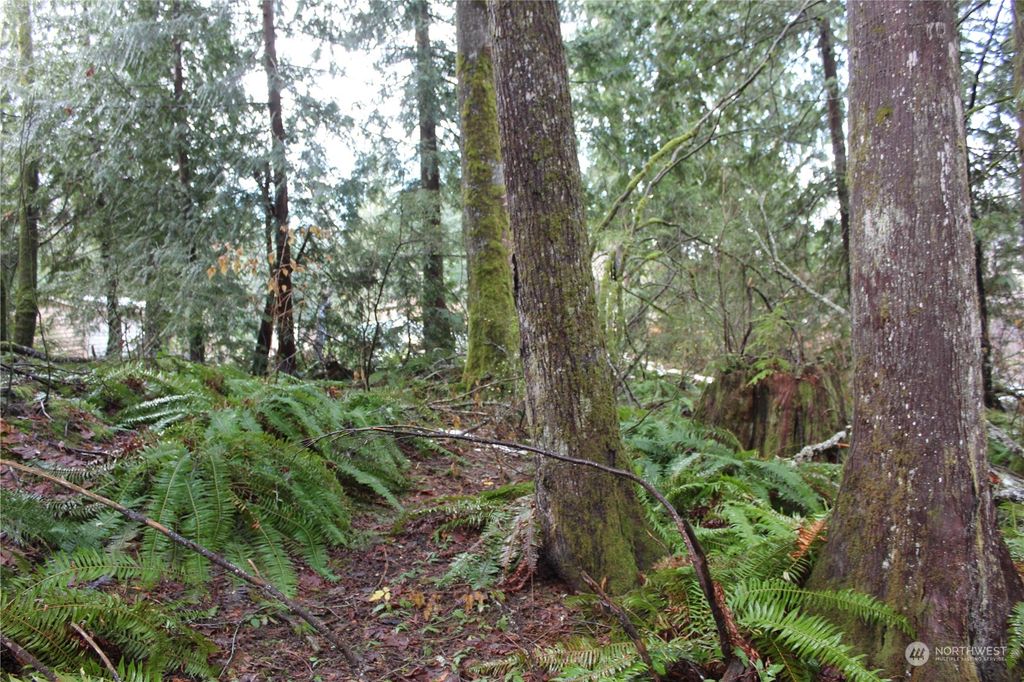 Photo of 17519 433rd Ave SE, Gold Bar, WA 98251 (MLS # 2022253)