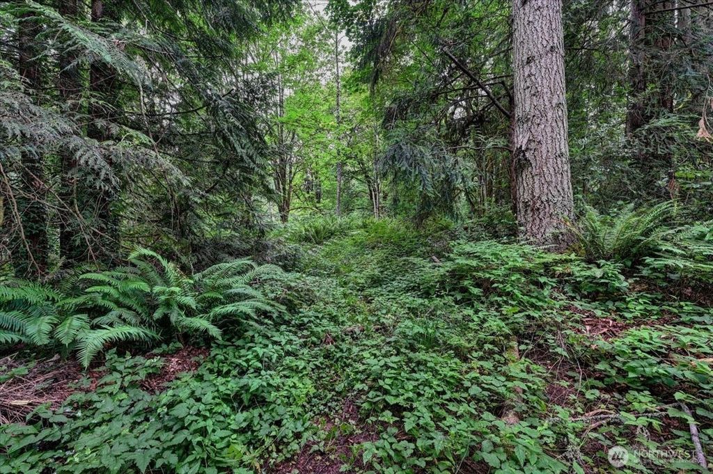 Photo of 4133 W Ames Lake Drive NE, Redmond, WA 98053 (MLS # 2400598)