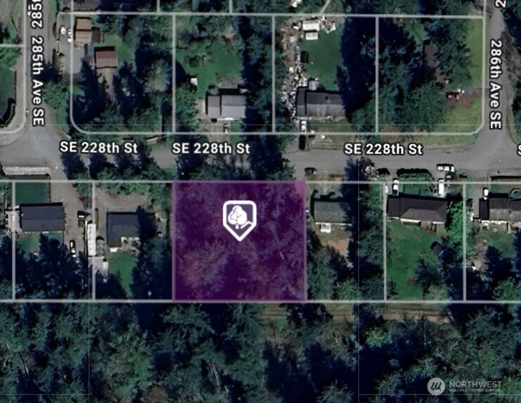 Photo of 28521 SE 228th Street, Maple Valley, WA 98038 (MLS # 2438648)