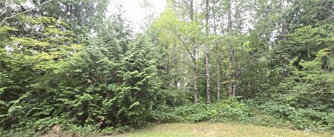 0 Alder Place Elma WA 98541