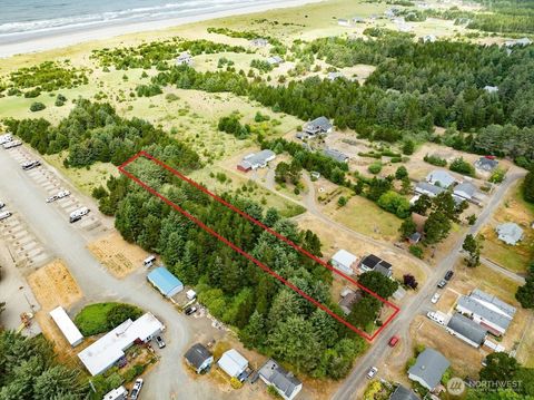 13907 N Alley Long Beach WA 98631