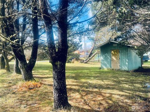 Photo of 146 146th Place, Long Beach, WA 98631 (MLS # 2048983)