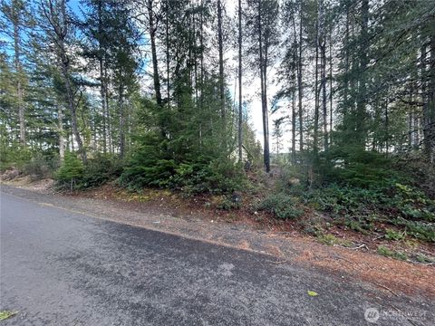 31 E Hemlock Court Union WA 98592