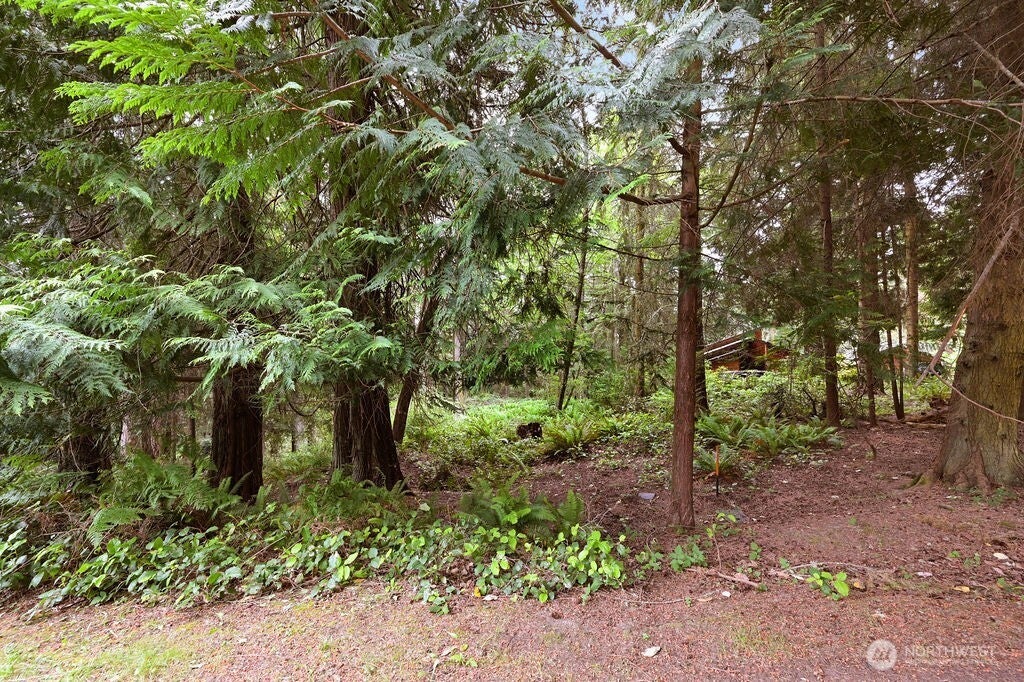 Photo of 241 Belvedere Drive, Port Townsend, WA 98368 (MLS # 2504578)