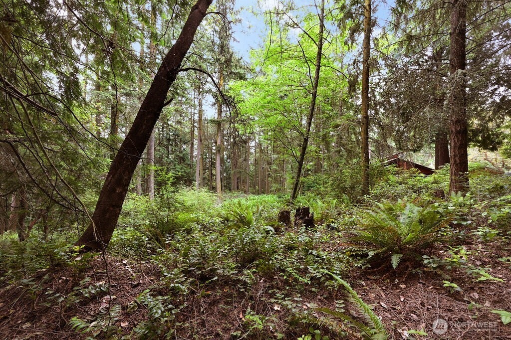 Photo of 241 Belvedere Drive, Port Townsend, WA 98368 (MLS # 2504578)