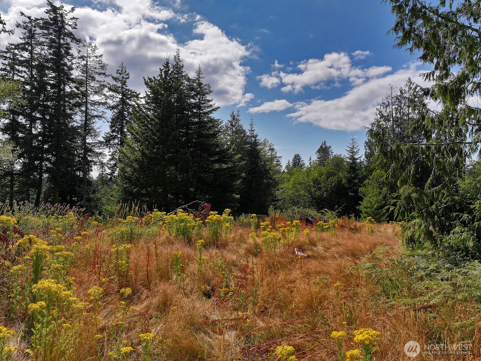 3849 East Harbor Road