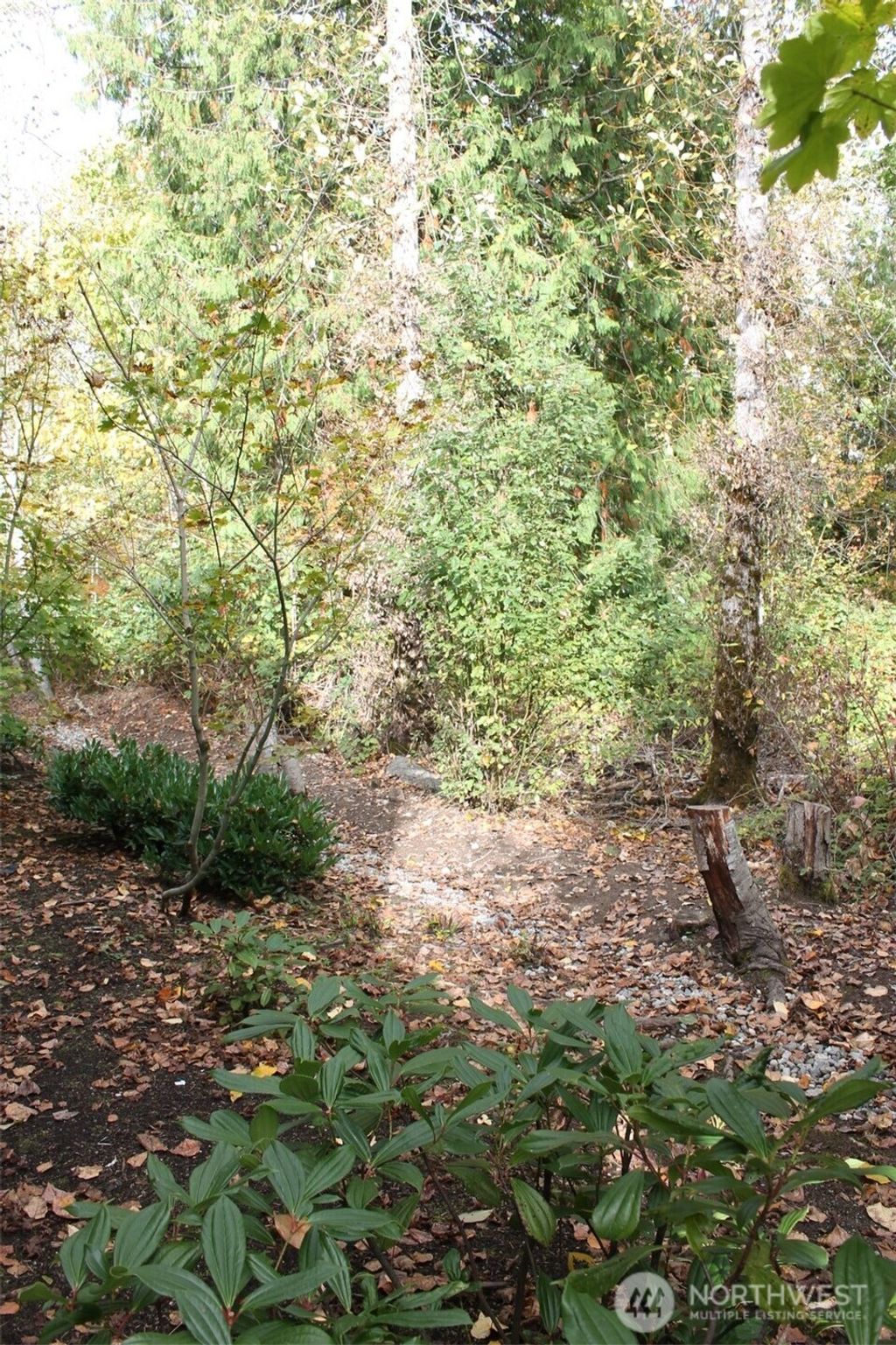 Photo of 538 241st Lane SE, Sammamish, WA 98074 (MLS # 2448168)