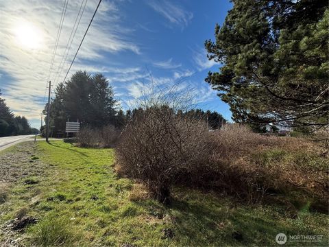 139 Pacific Way Long Beach WA 98631