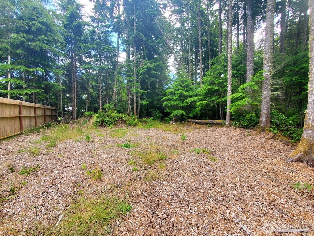 Photo of 736 Chenois Avenue NE, Ocean Shores, WA 98569 (MLS # 2558798)