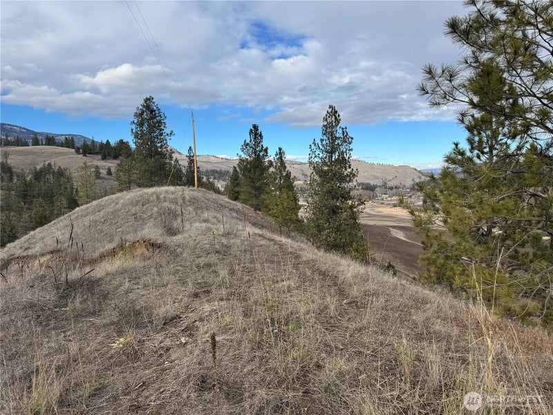 6 TBD Lundimo Meadows