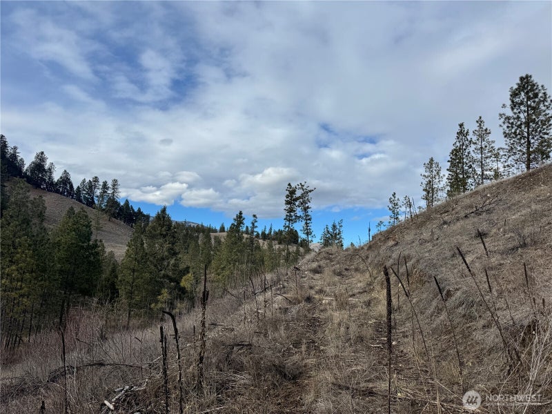 6 TBD Lundimo Meadows