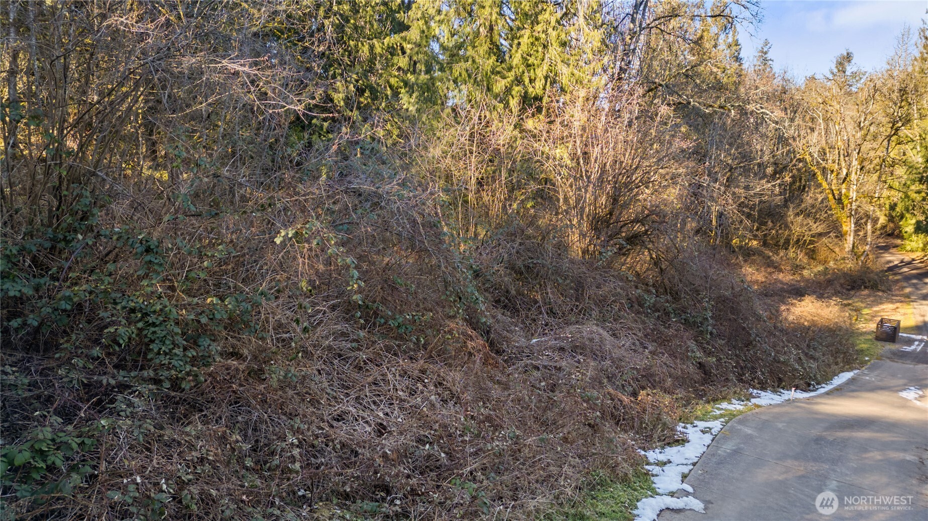 Auburn, Washington 98001, United States, ,Land,Active,3867