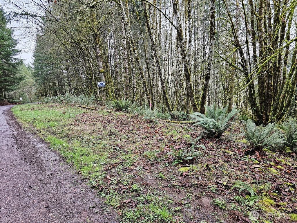 Photo of 461 Clearwater Road, Kelso, WA 98626 (MLS # 2489031)