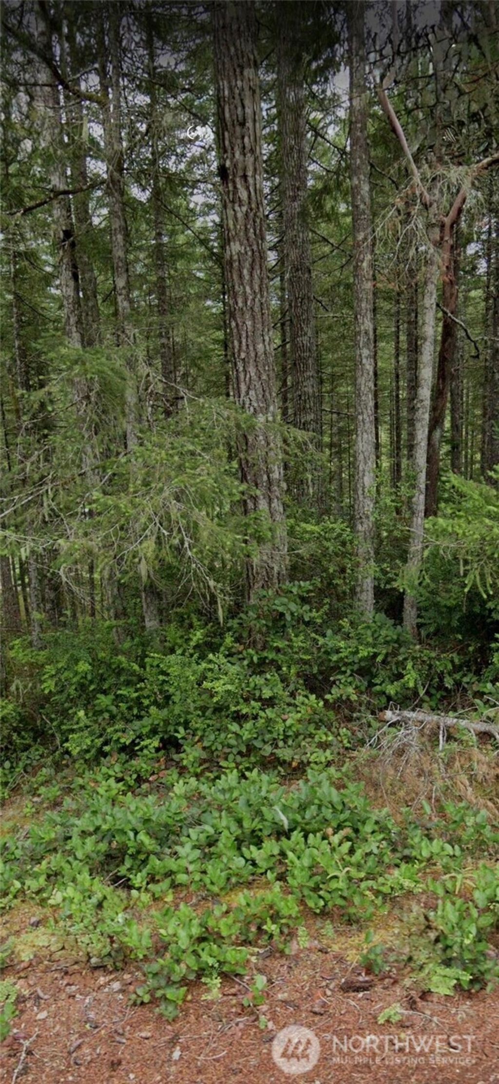 Photo of 1221 NE Collins Lake Drive, Tahuya, WA 98588 (MLS # 2458880)