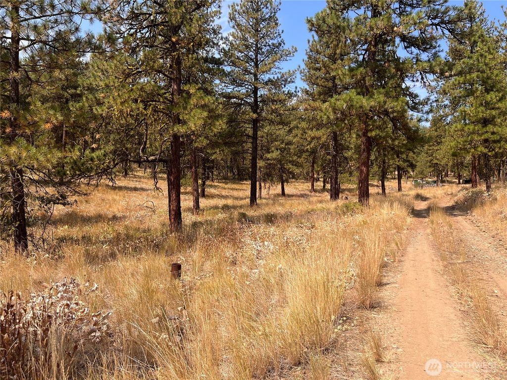 Photo of 301 Sunrise Way, East Wenatchee, WA 98802 (MLS # 2496480)