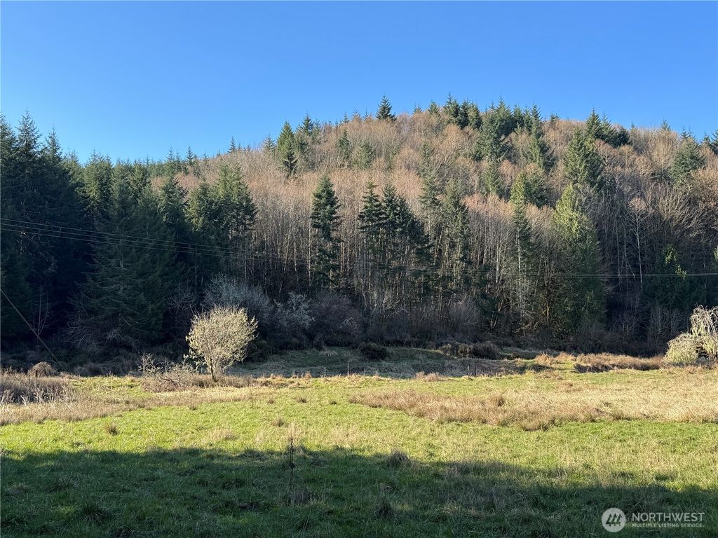 Photo of 0 xxx Harkum Road, Chehalis, WA 98532 (MLS # 2497268)