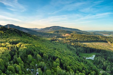 0 Elkhorn Lane Quilcene WA 98376