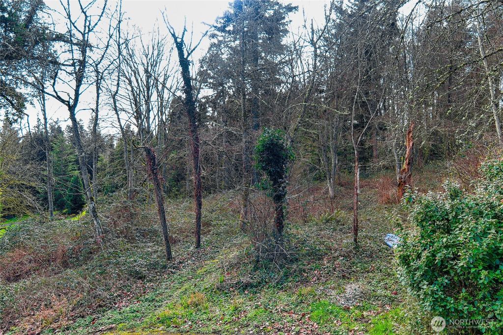 Photo of 106 XX NE 164th Lane, Bothell, WA 98011 (MLS # 2484283)