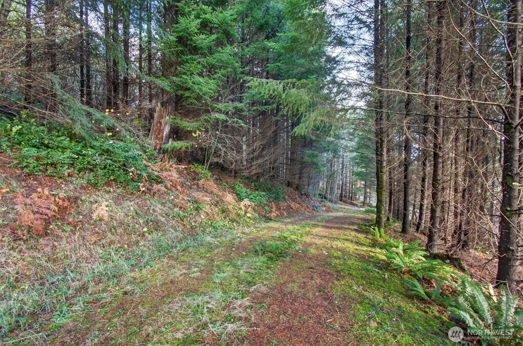 0 Knightsbridge Road