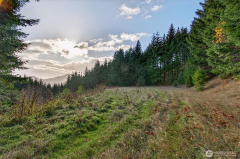 0 Knightsbridge Road Amboy WA 98603