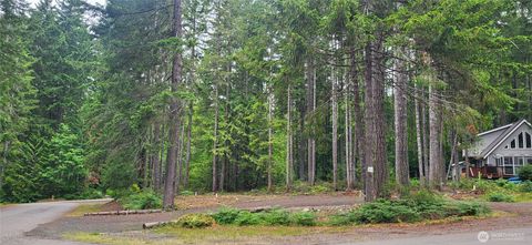 Photo of 0 N Mt Jupiter Drive, Hoodsport, WA 98548 (MLS # 2480146)