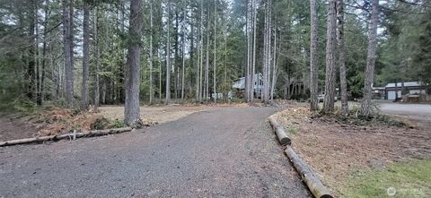 0 N Mt Jupiter Drive Hoodsport WA 98548