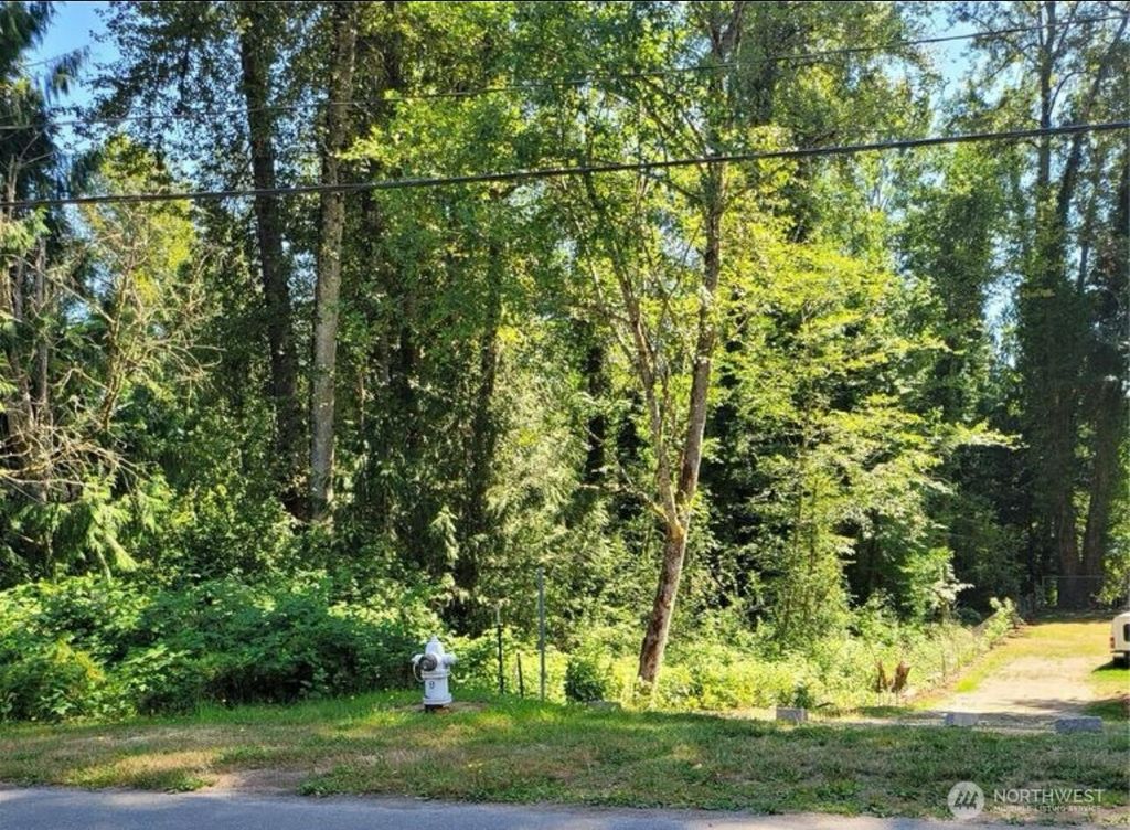 Photo of 18627 SE 216th Street, Renton, WA 98058 (MLS # 2394179)