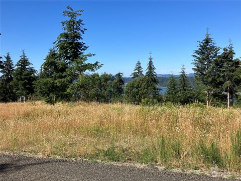 Photo of 1 E Lone Fir Drive Drive E #Div 2, Shelton, WA 98584 (MLS # 2268205)