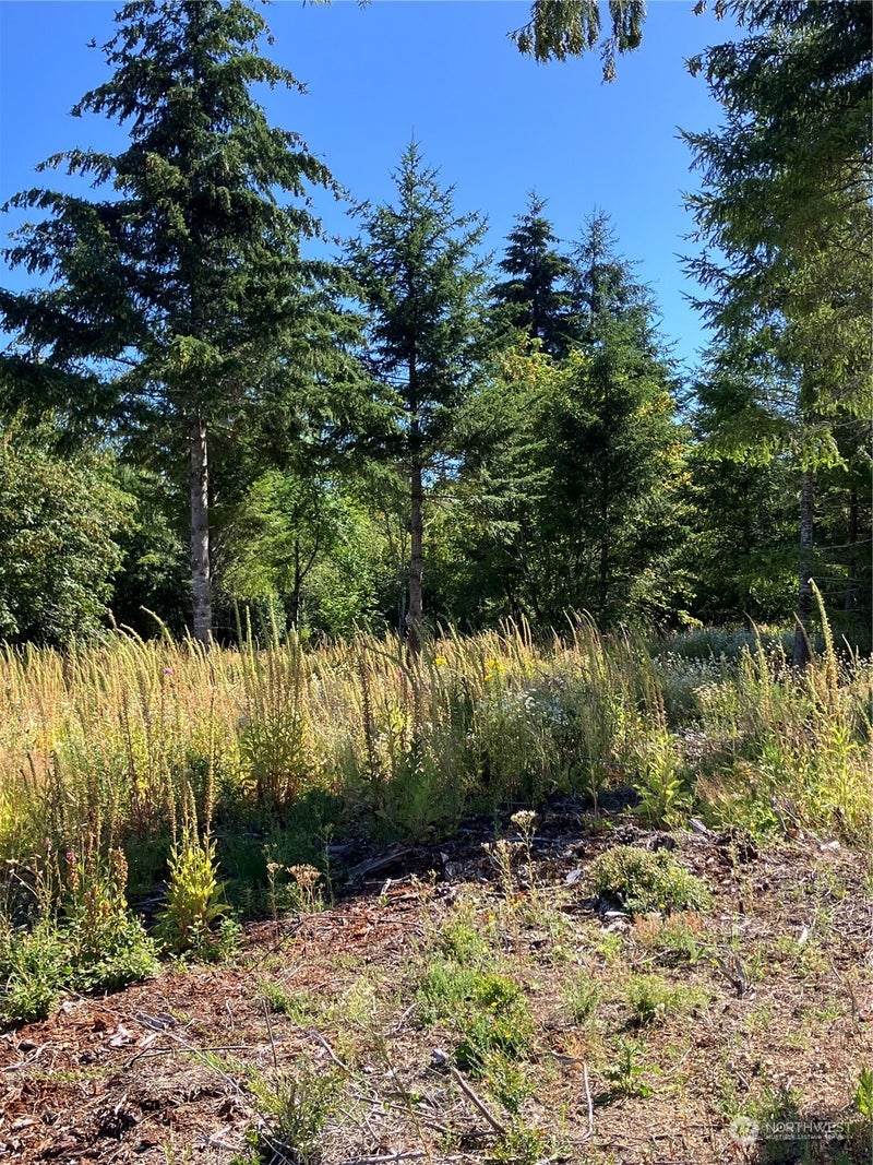 1 E Lone Fir Drive Drive E Div 2