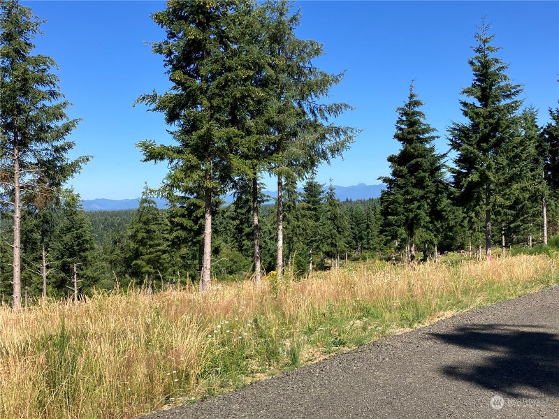 1 E Lone Fir Drive Drive E Div 2