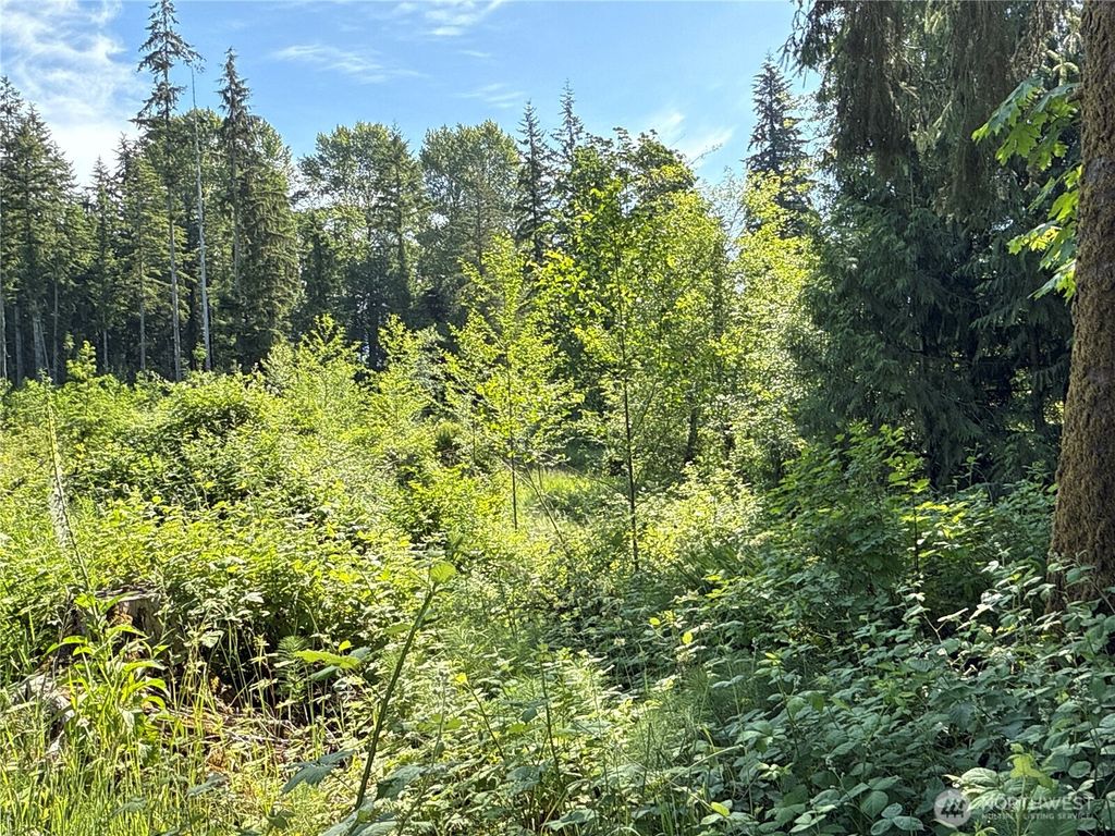 Photo of 17 XXX Jim Creek Road, Arlington, WA 98223 (MLS # 2385783)