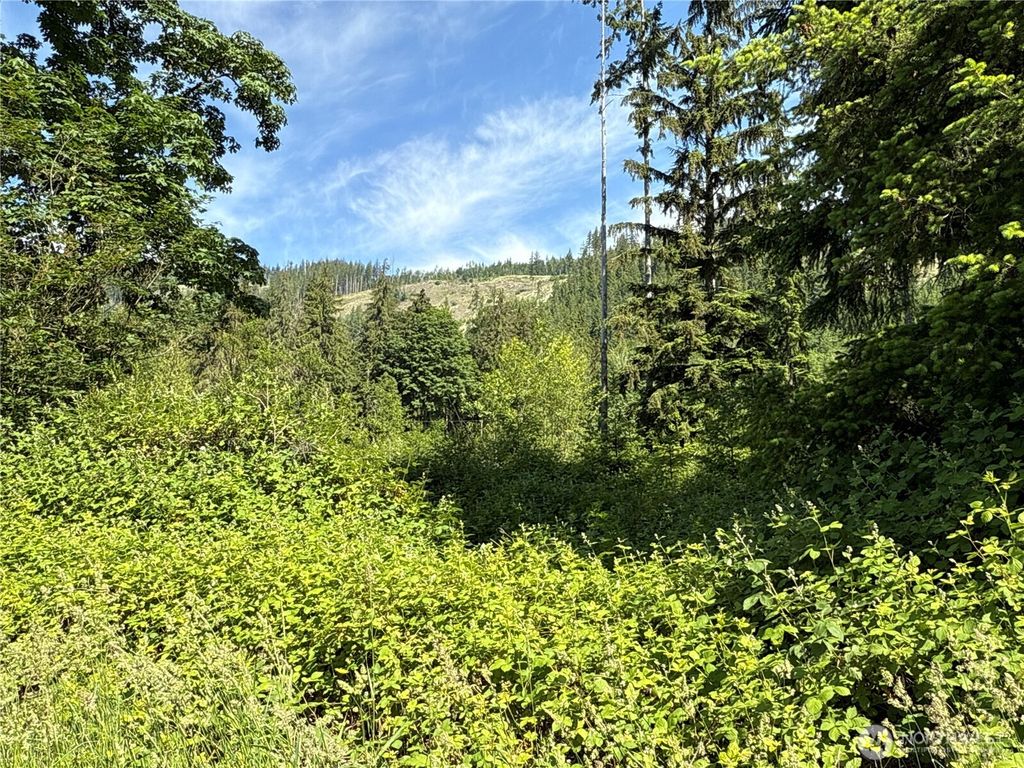 Photo of 17 XXX Jim Creek Road, Arlington, WA 98223 (MLS # 2385783)