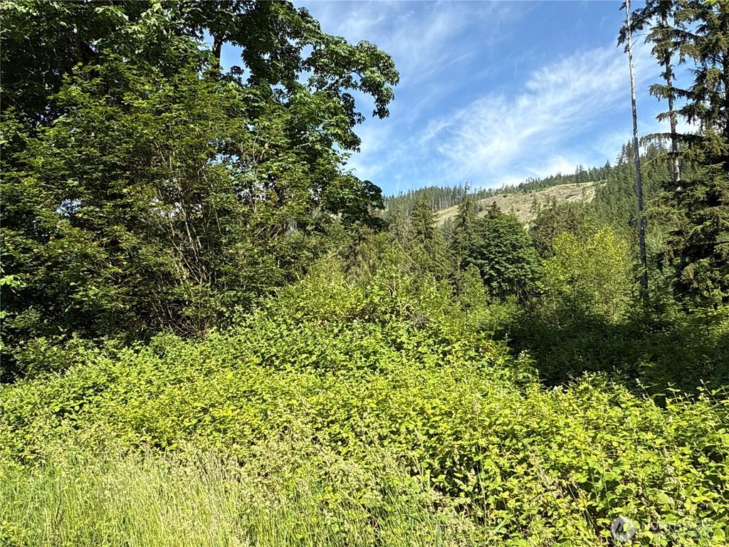 Photo of 17 XXX Jim Creek Road, Arlington, WA 98223 (MLS # 2385783)