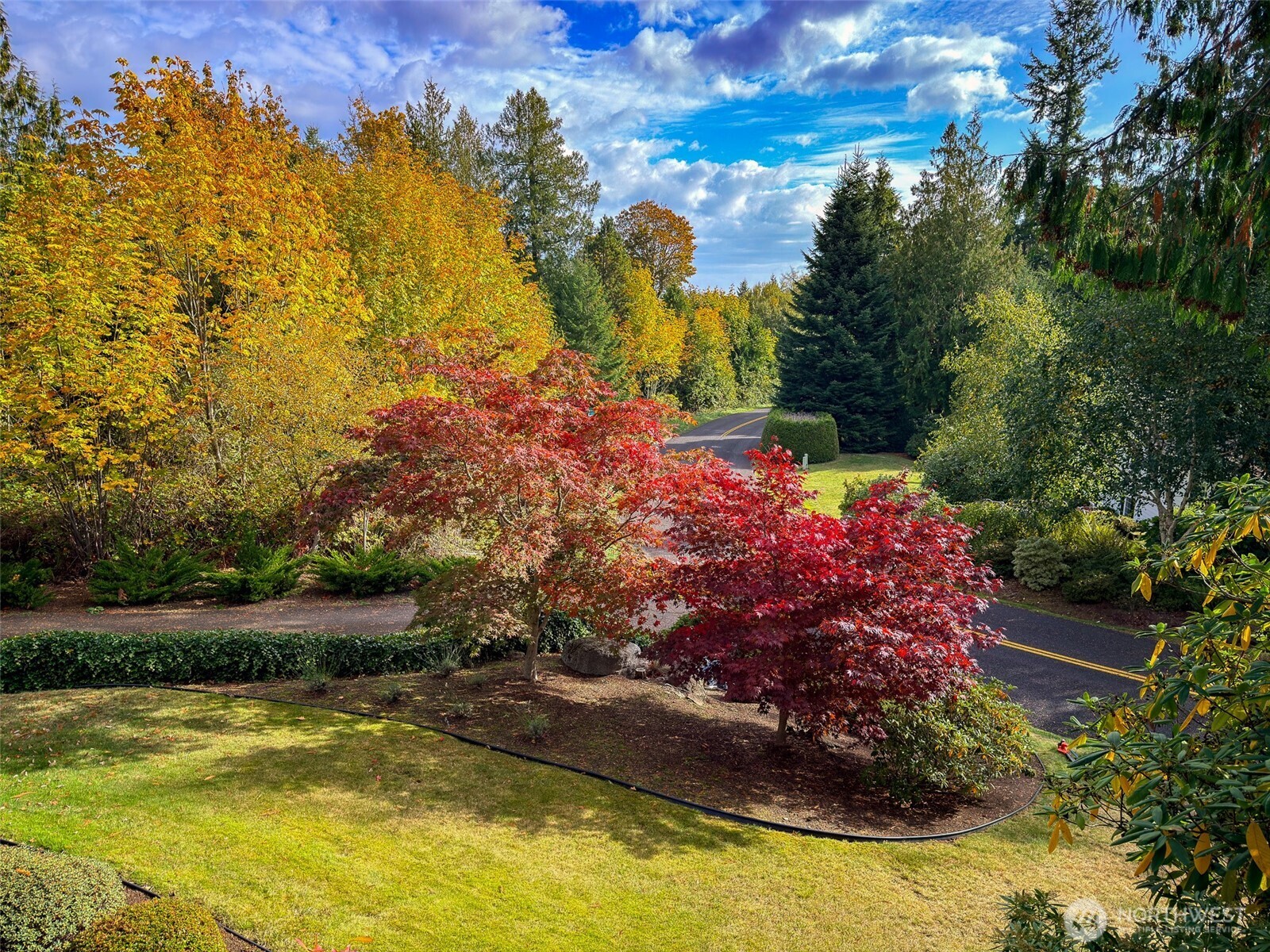 291 Pioneer Drive