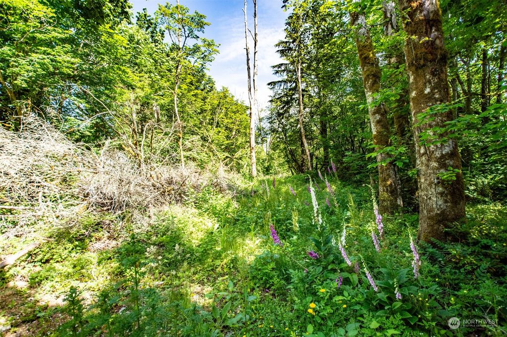 Photo of 9829 351st Avenue SE, Snoqualmie, WA 98065 (MLS # 2135087)
