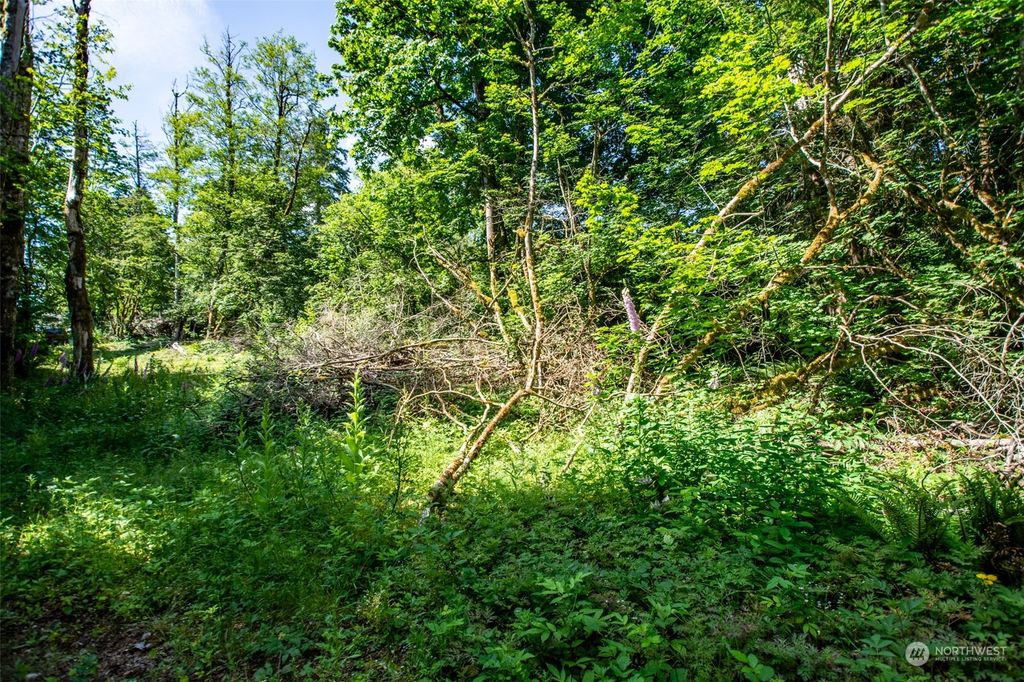 Photo of 9829 351st Avenue SE, Snoqualmie, WA 98065 (MLS # 2135087)