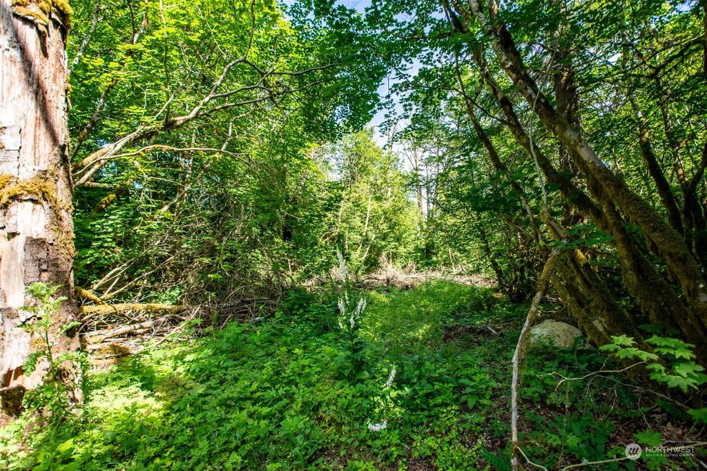 Photo of 9829 351st Avenue SE, Snoqualmie, WA 98065 (MLS # 2135087)