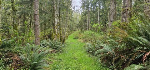 Photo of 0 House Place, Camano Island, WA 98282 (MLS # 2495758)