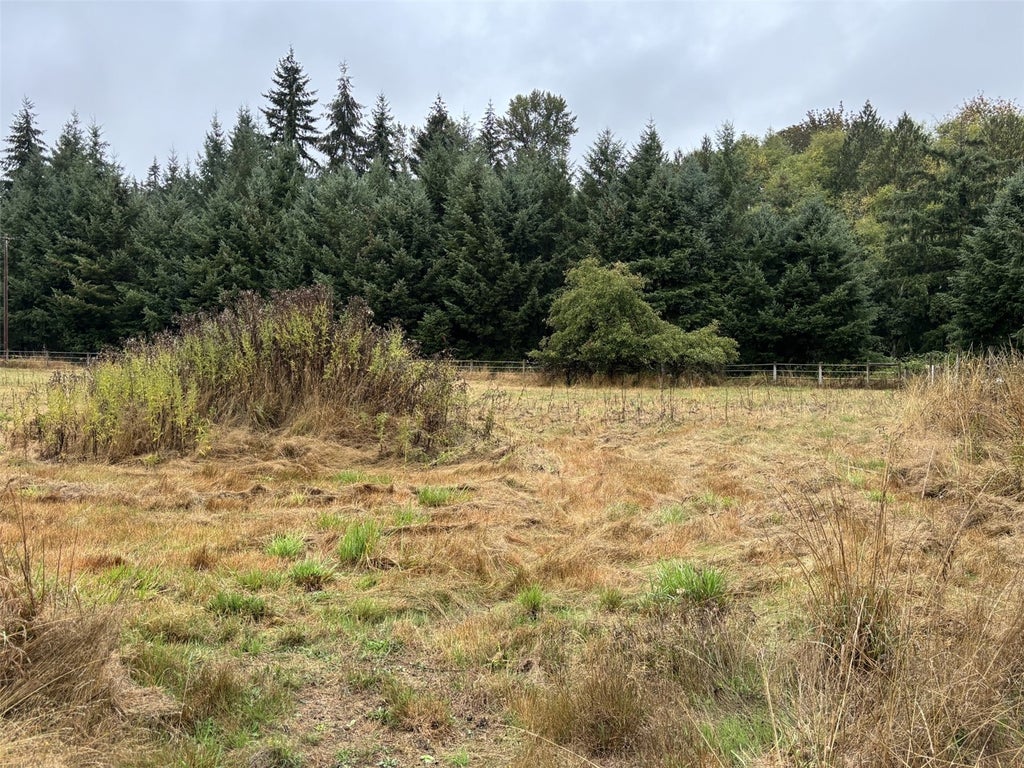 Photo of 0 Byham Rd, Winlock, WA 98596 (MLS # 2581913)
