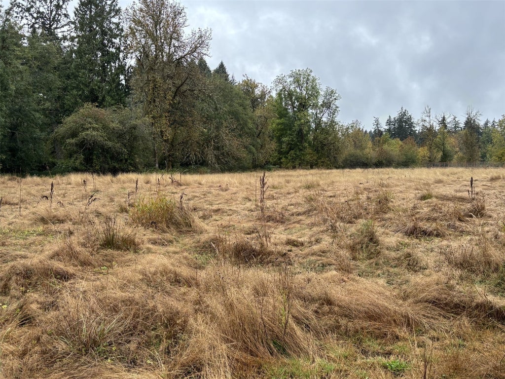 Photo of 0 Byham Rd, Winlock, WA 98596 (MLS # 2581913)