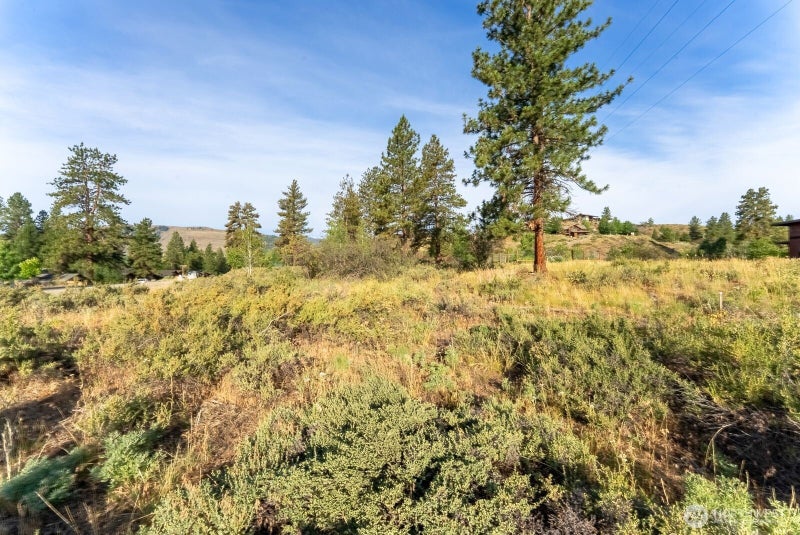 615 Pine Loop