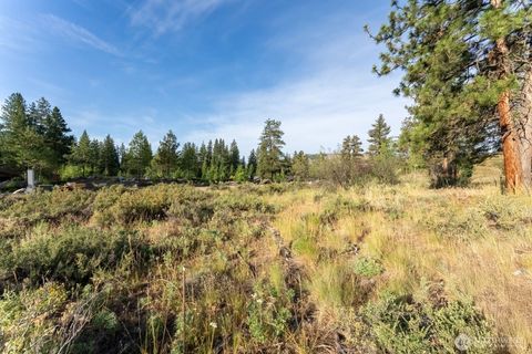 615 Pine Loop Winthrop WA 98862