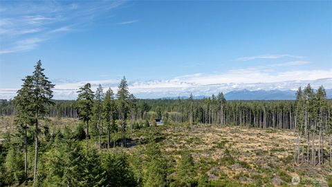 Photo of 111 NE Ridgetop Court, Belfair, WA 98528 (MLS # 2442310)